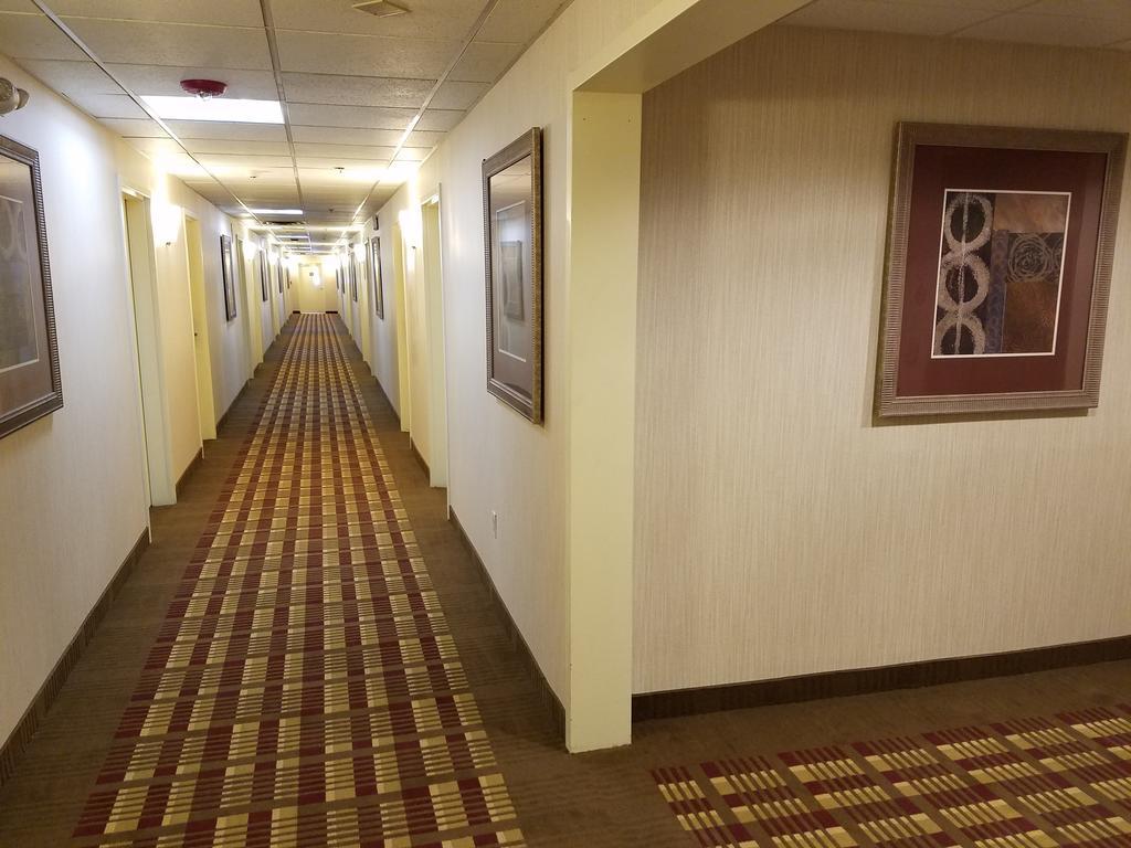 Days Inn By Wyndham Windsor Locks / Bradley Intl Airport Eksteriør billede